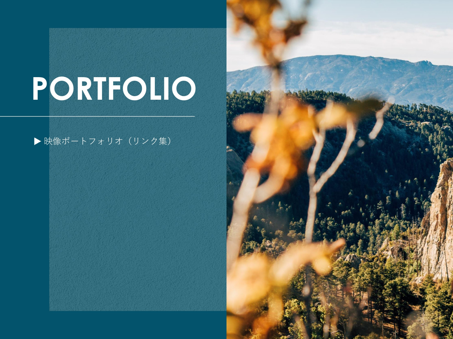 リベルタ株式会社 - ポートフォリオ - {(31 + 1)}ページ目