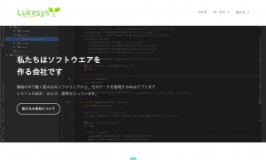 株式会社ルークシステム