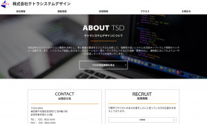 株式会社テトラシステムデザイン