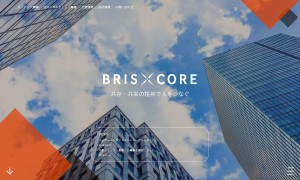 株式会社 BRISXCORE（ブリスコア）