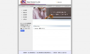 スマートシステム株式会社