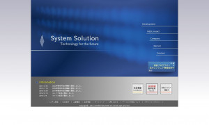 株式会社システムソリューション