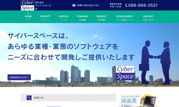 株式会社サイバースペース