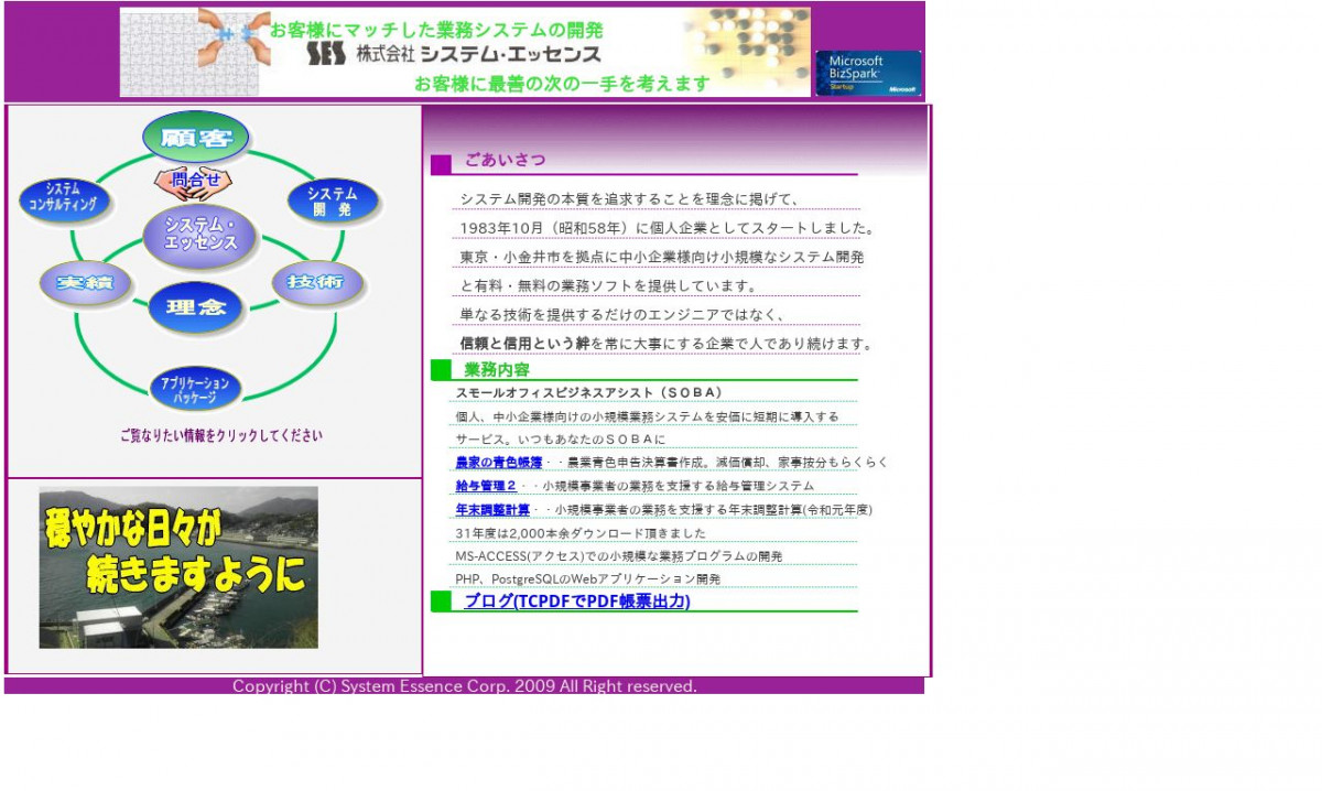 株式会社システム･エッセンス