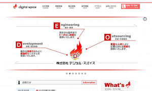 株式会社デジタル・スパイス