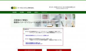 カーネルシステムズ株式会社