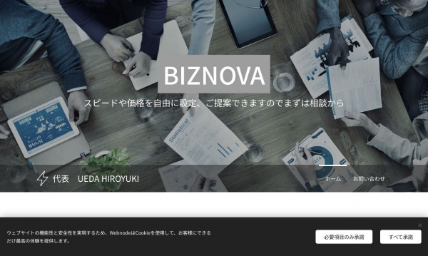 BIZNOVA