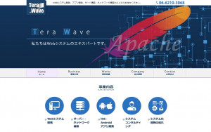 テラウェーブ・システム株式会社