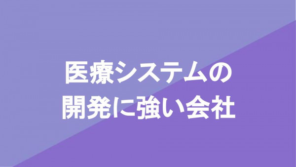 医療システムの開発に強い会社