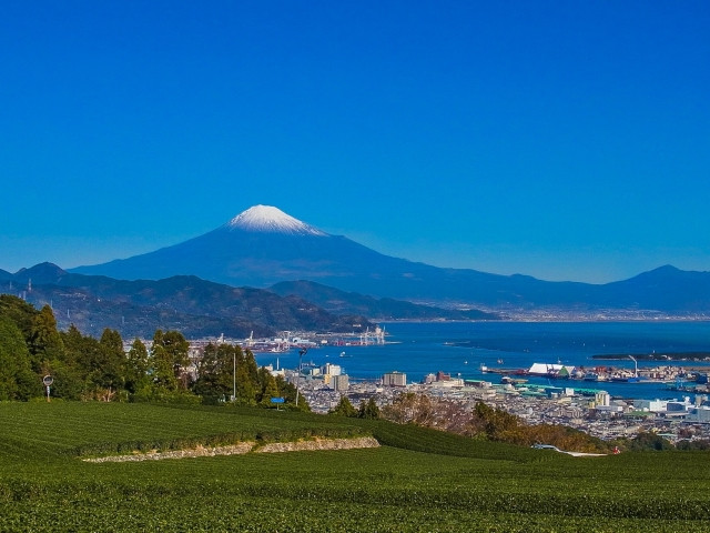 静岡県のおすすめシステム開発会社
