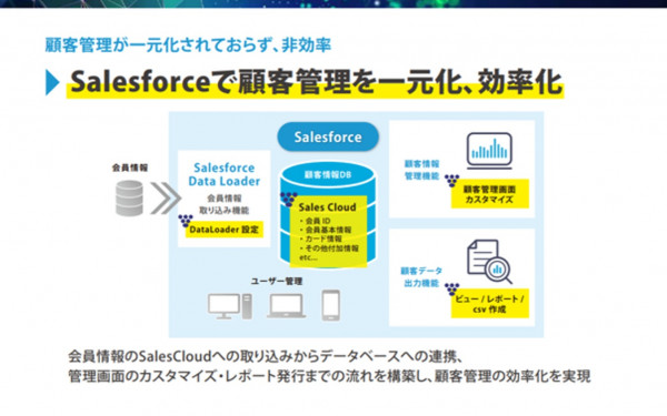 日本ディクス株式会社の実績 - Salesforce（顧客管理）